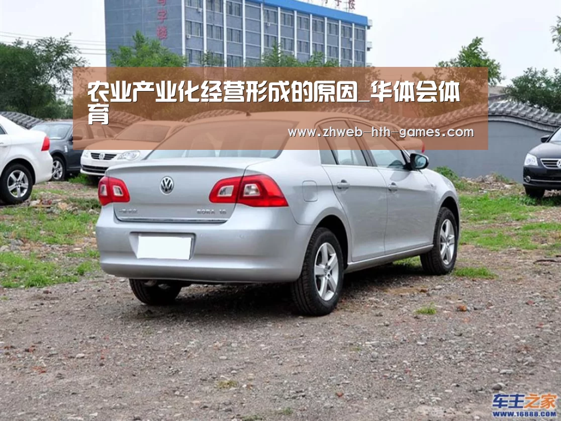 农业产业化经营形成的原因_华体会体育(图3) 华体会体育