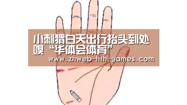 小刺猬白天出行抬头到处嗅“华体会体育”(图4) 华体会体育