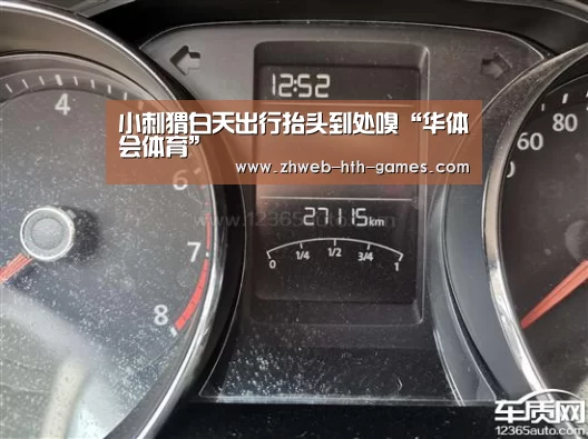 小刺猬白天出行抬头到处嗅“华体会体育”(图3) 华体会体育