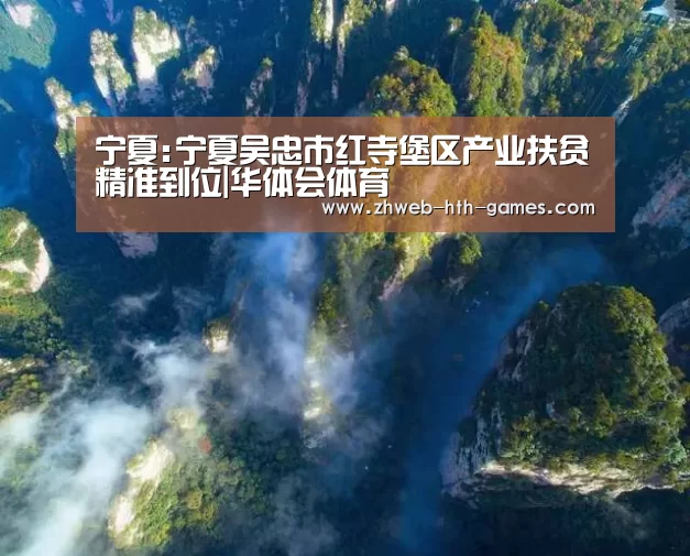 宁夏:宁夏吴忠市红寺堡区产业扶贫精准到位|华体会体育(图1) 华体会体育